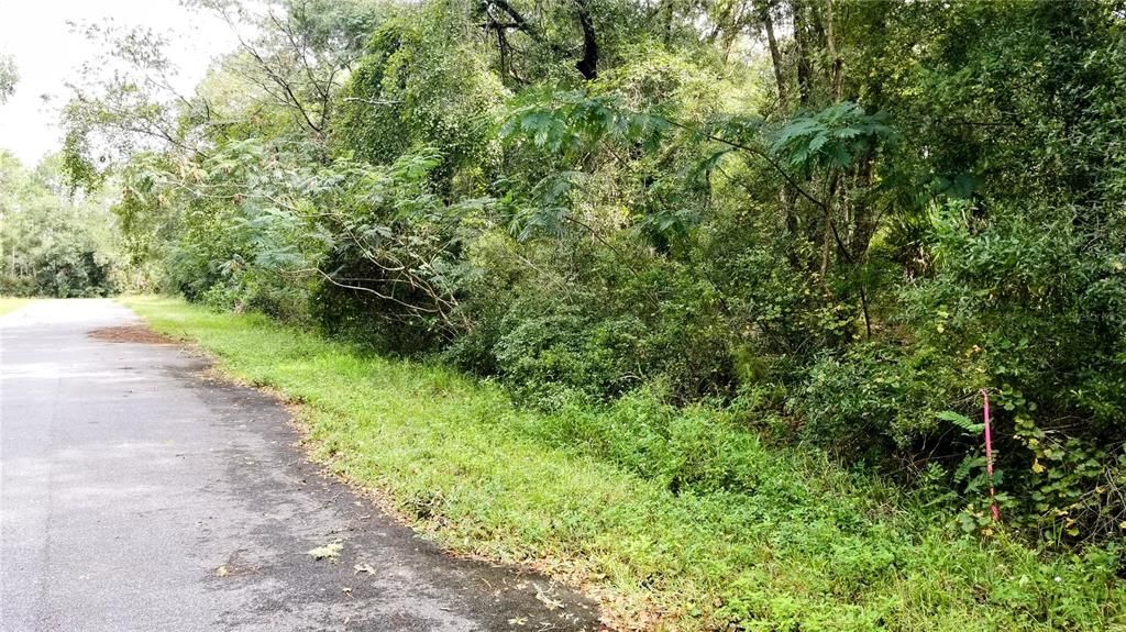 Под контрактом: $20,999 (0.43 acres)