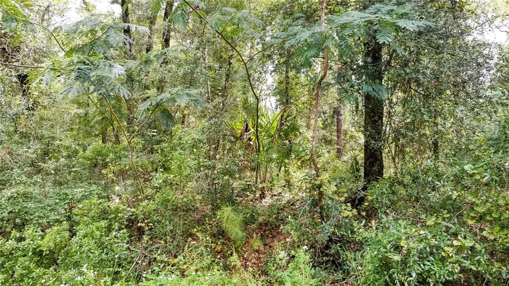 Под контрактом: $20,999 (0.43 acres)