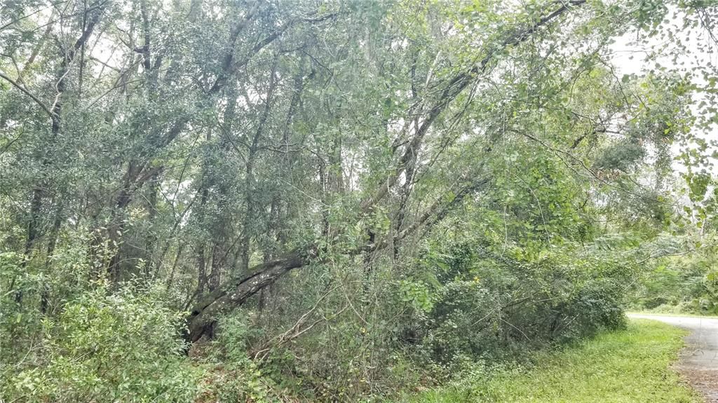 Под контрактом: $20,999 (0.43 acres)