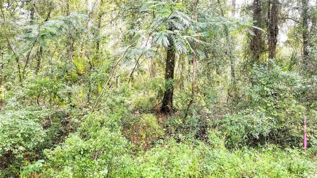 Под контрактом: $20,999 (0.43 acres)