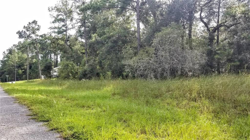 Activo con contrato: $21,299 (0.44 acres)