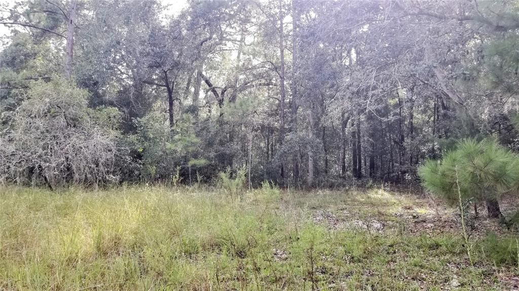 Activo con contrato: $21,299 (0.44 acres)