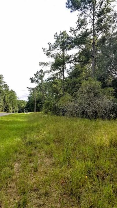 Activo con contrato: $21,299 (0.44 acres)