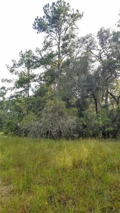 Activo con contrato: $21,299 (0.44 acres)