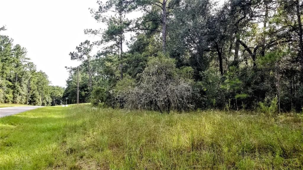 Activo con contrato: $21,299 (0.44 acres)