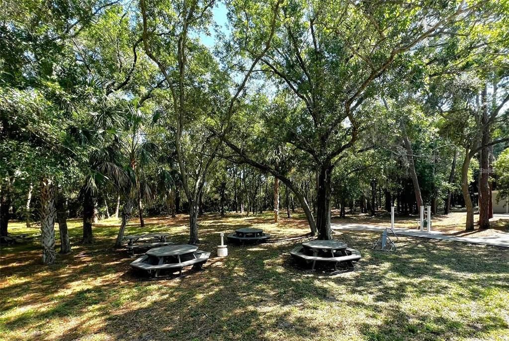 Active With Contract: $119,000 (1 beds, 1 baths, 525 Square Feet)