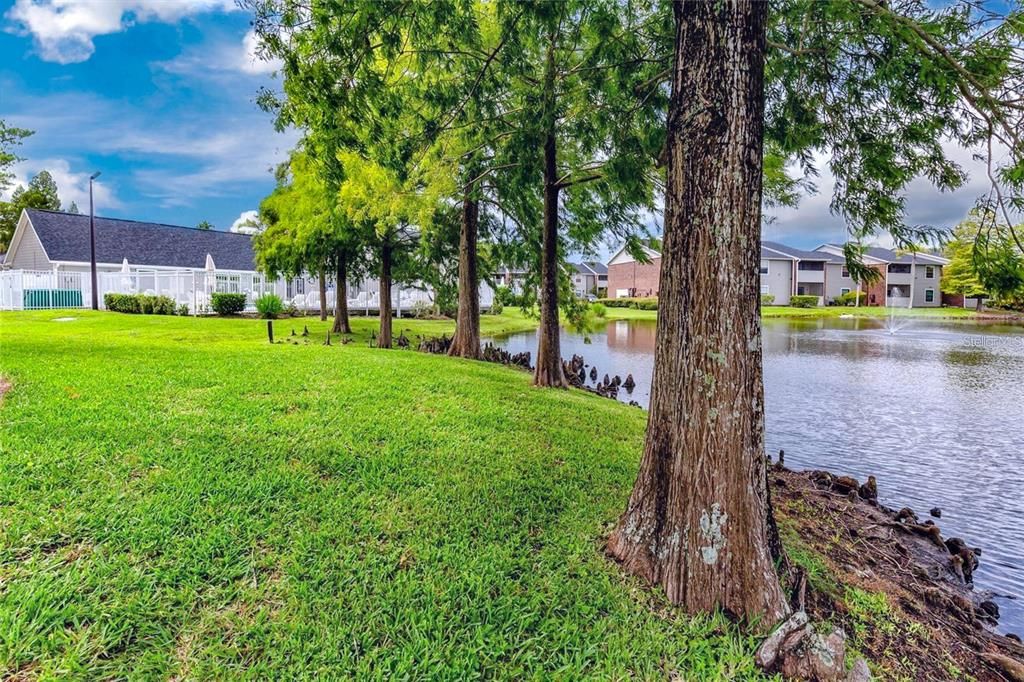 Active With Contract: $119,000 (1 beds, 1 baths, 525 Square Feet)