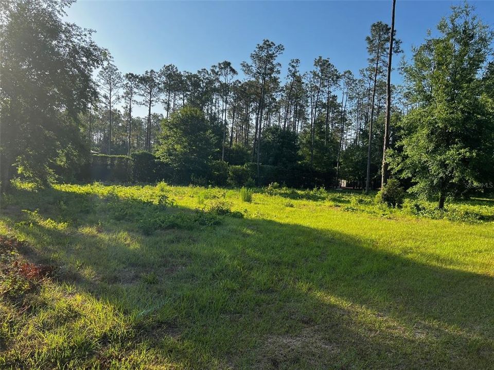 En Venta: $375,000 (1.30 acres)