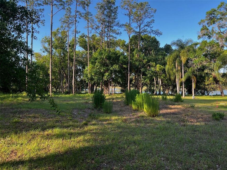 En Venta: $375,000 (1.30 acres)