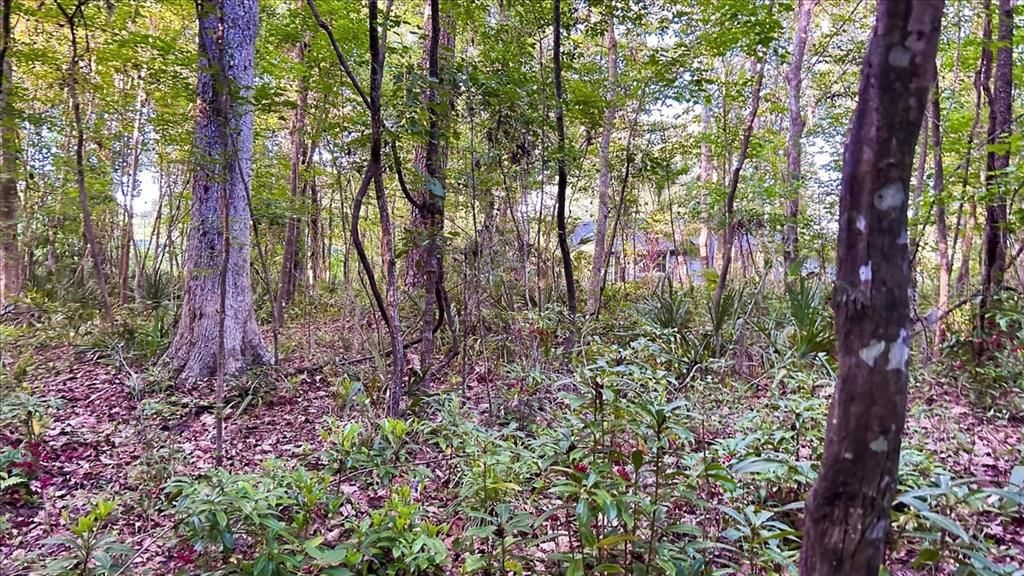 На продажу: $575,000 (4 спален, 3 ванн, 2986 Квадратных фут)