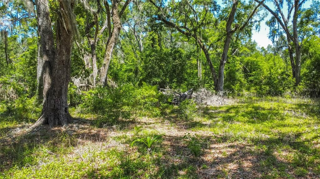 На продажу: $125,000 (8.00 acres)