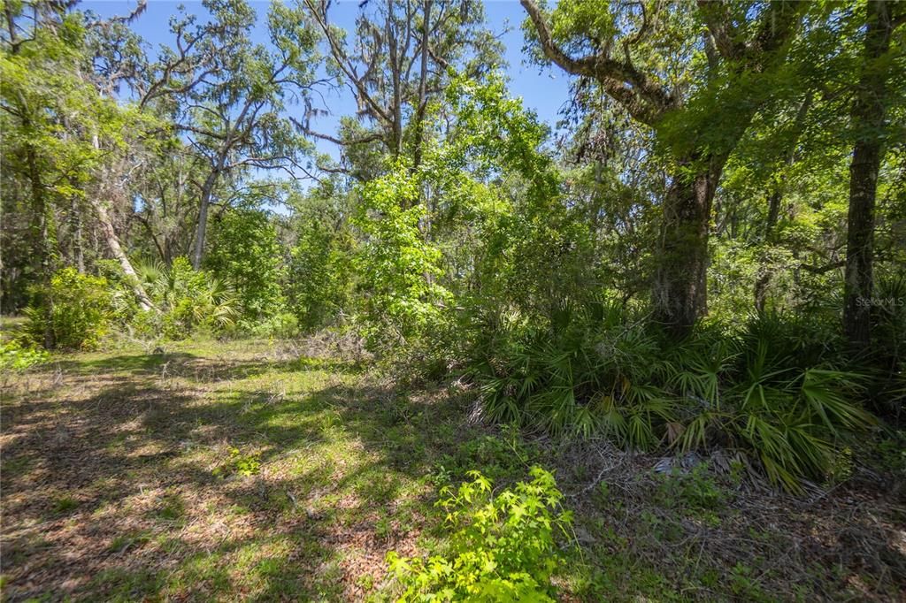 На продажу: $125,000 (8.00 acres)