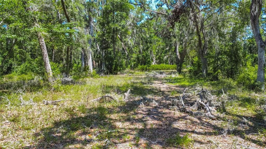 На продажу: $125,000 (8.00 acres)