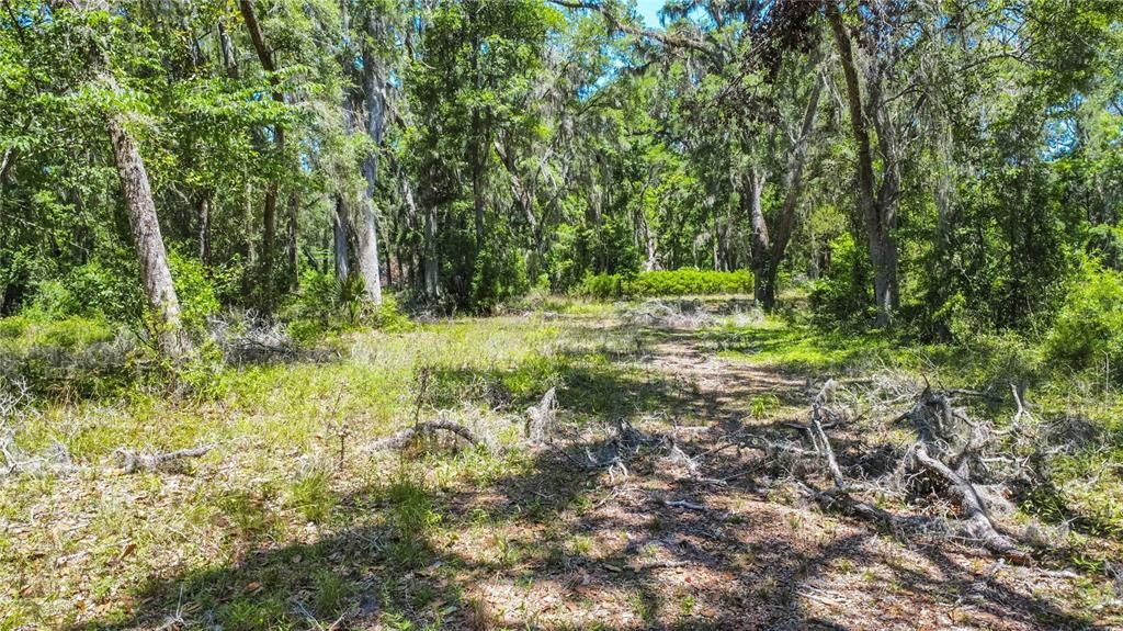 На продажу: $125,000 (8.00 acres)