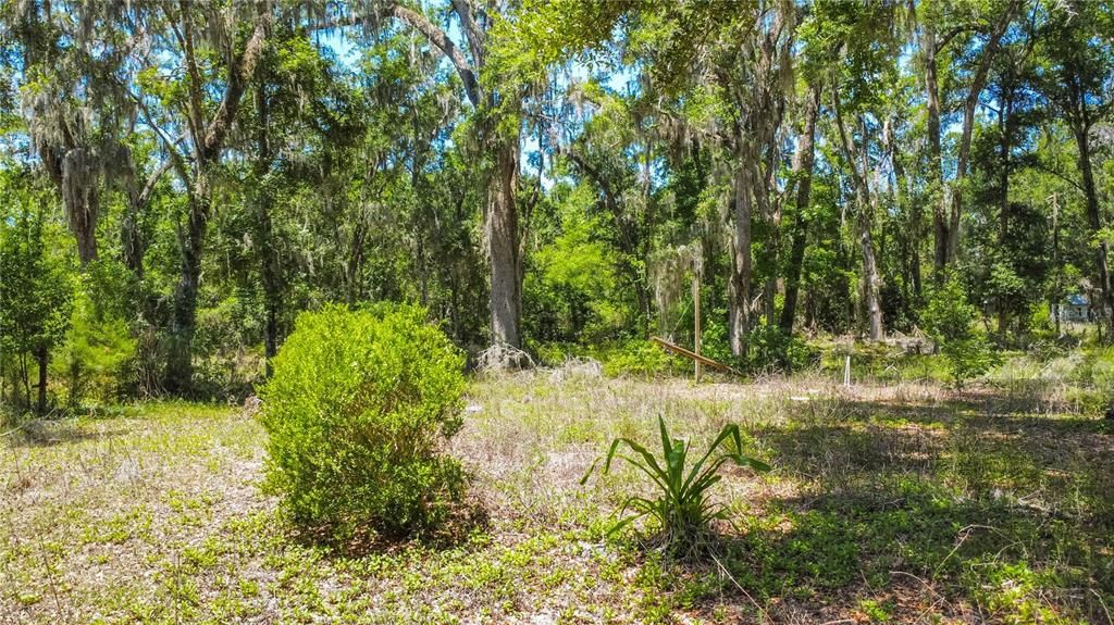 На продажу: $125,000 (8.00 acres)
