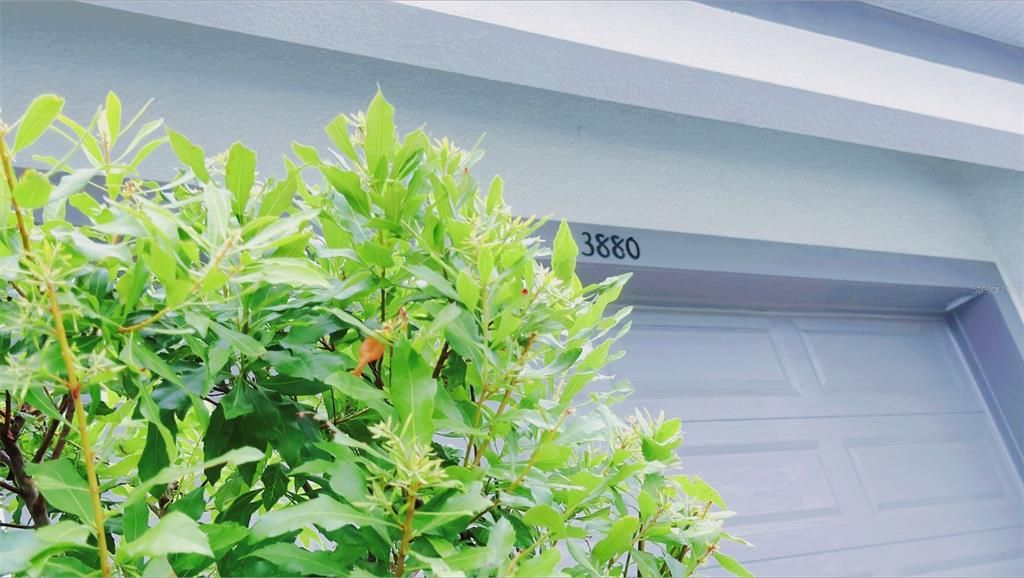 На продажу: $1,750,000 (15 спален, 15 ванн, 6374 Квадратных фут)