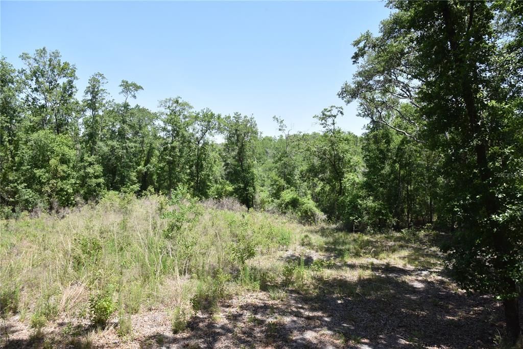 For Sale: $209,000 (12.02 acres)