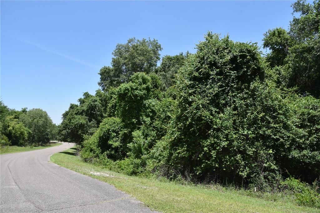 For Sale: $209,000 (12.02 acres)