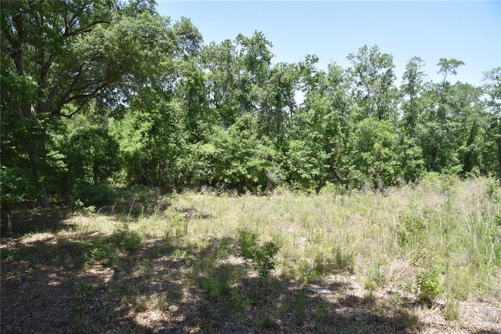 For Sale: $209,000 (12.02 acres)