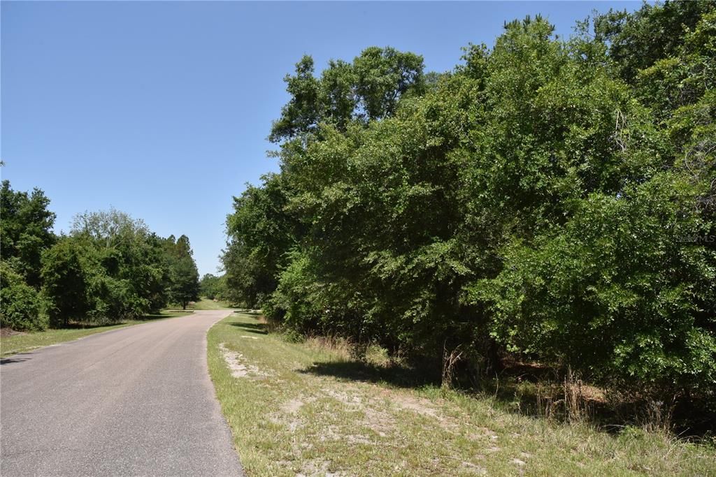 For Sale: $209,000 (12.02 acres)