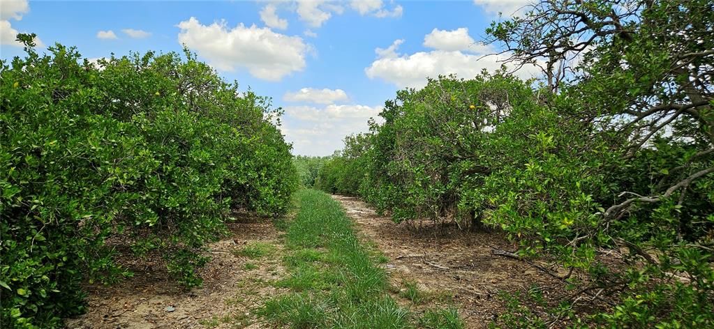 Active With Contract: $527,680 (45.00 acres)