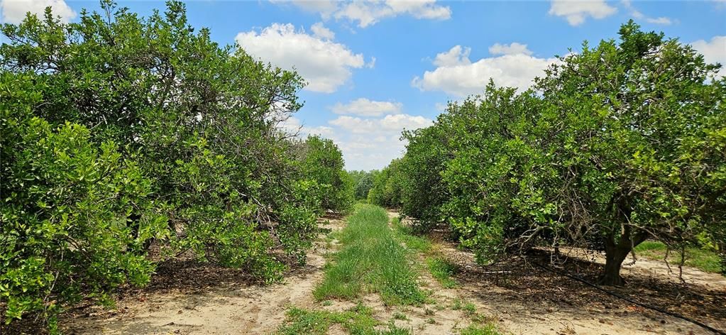 Active With Contract: $527,680 (45.00 acres)