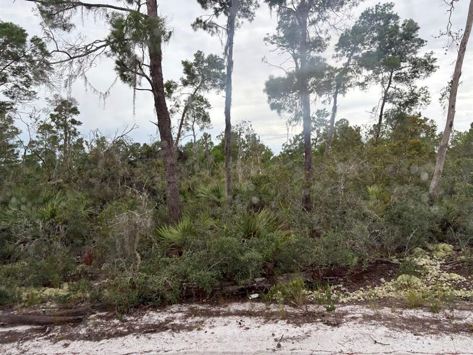 待售: $35,000 (1.00 acres)