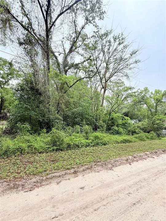 最近售出: $8,900 (0.24 acres)