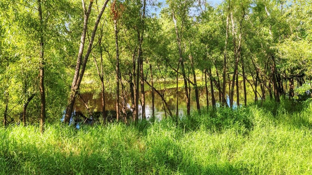 На продажу: $249,900 (2.06 acres)