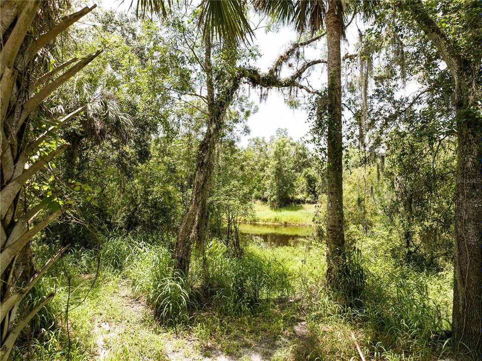 На продажу: $249,900 (2.06 acres)