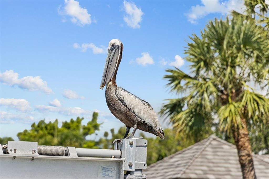 出租: $8,500 (4 贝兹, 3 浴室, 2572 平方英尺)