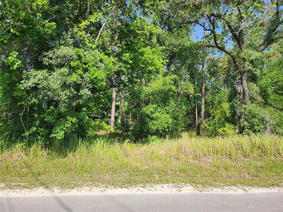 Недавно продано: $17,000 (0.24 acres)