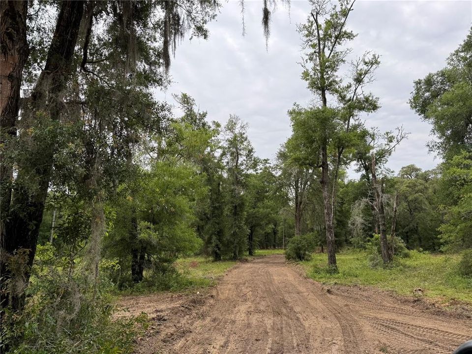 North-South Easement