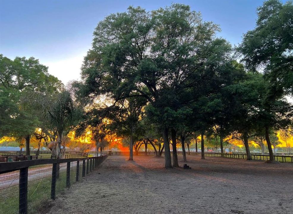 En Venta: $2,499,990 (6 camas, 7 baños, 6200 Pies cuadrados)