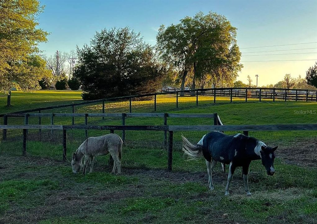 En Venta: $2,499,990 (6 camas, 7 baños, 6200 Pies cuadrados)