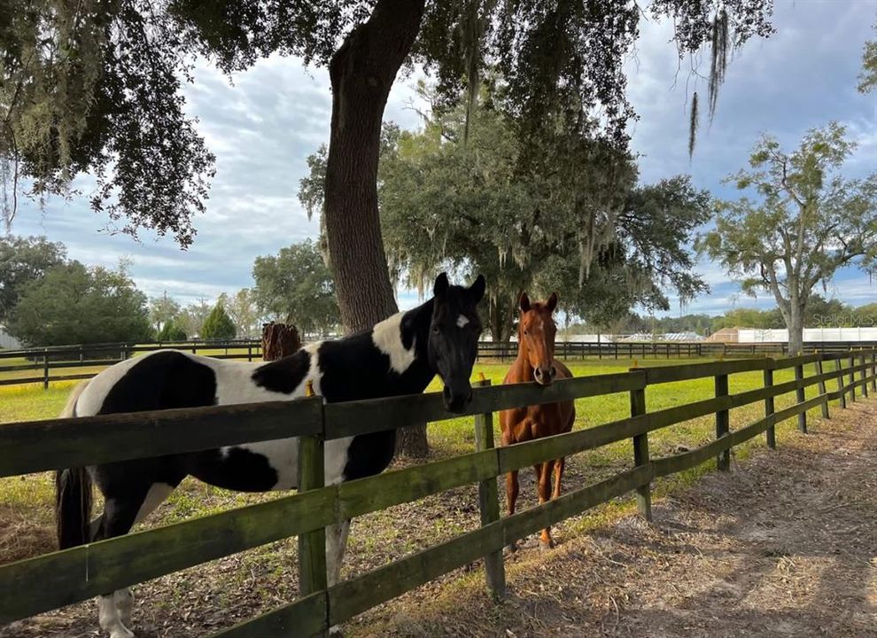 En Venta: $2,499,990 (6 camas, 7 baños, 6200 Pies cuadrados)