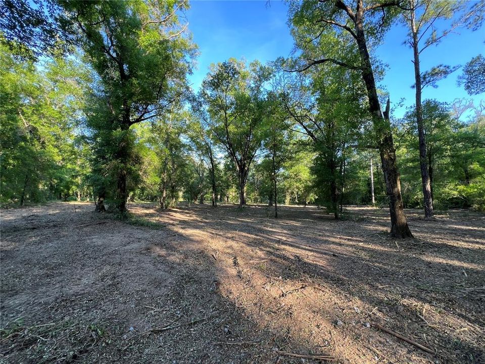 Recently Sold: $18,000 (1.25 acres)