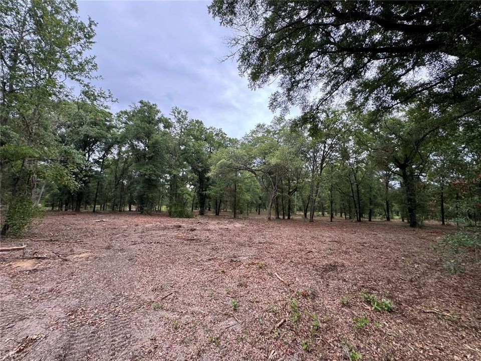 Recently Sold: $18,000 (1.25 acres)