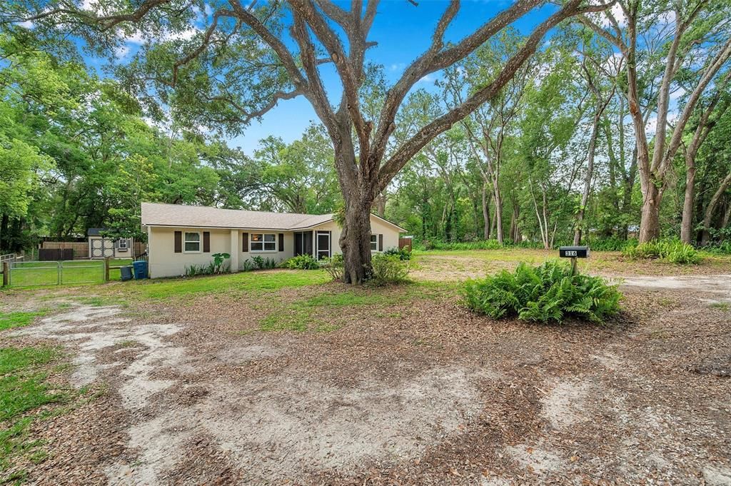 Под контрактом: $340,000 (3 спален, 2 ванн, 1528 Квадратных фут)