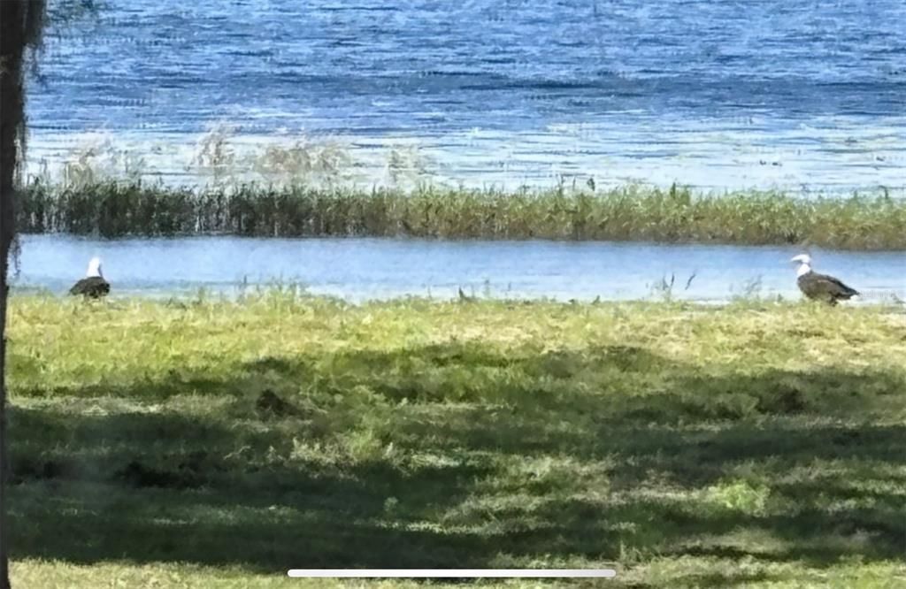 На продажу: $499,999 (4 спален, 2 ванн, 2318 Квадратных фут)