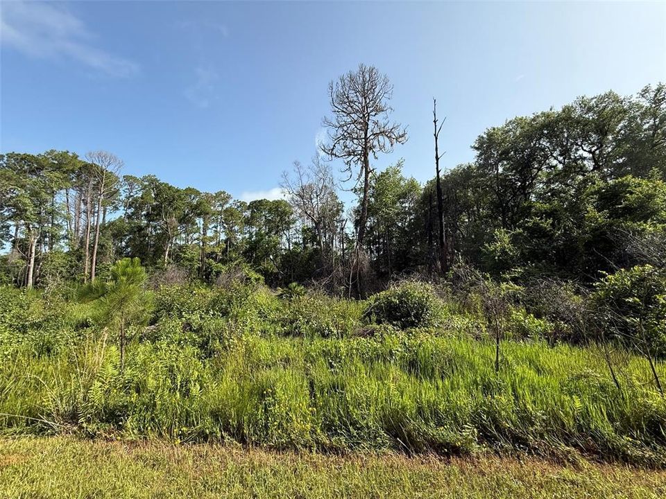 Vendido Recientemente: $10,600 (0.26 acres)