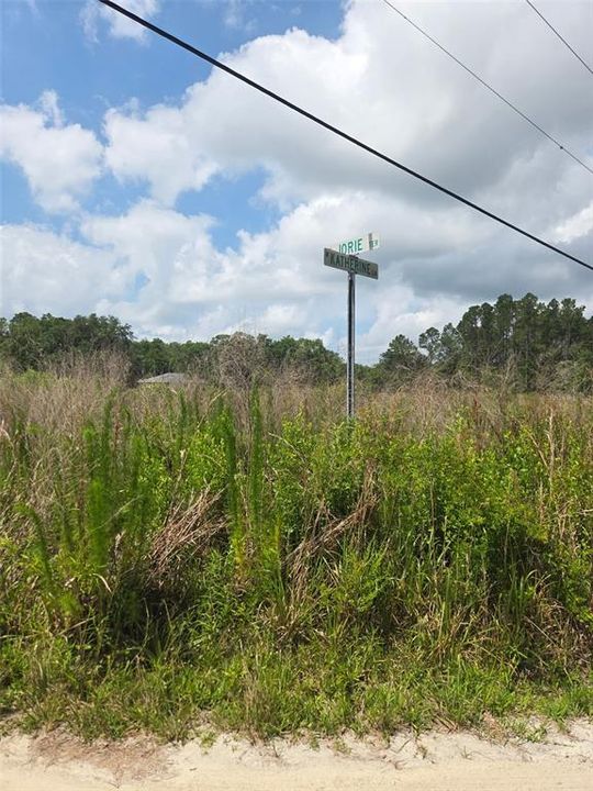 待售: $85,000 (2.68 acres)