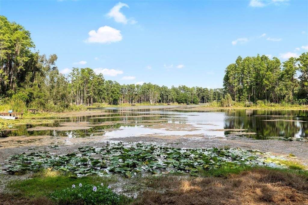 На продажу: $479,900 (3 спален, 2 ванн, 1952 Квадратных фут)