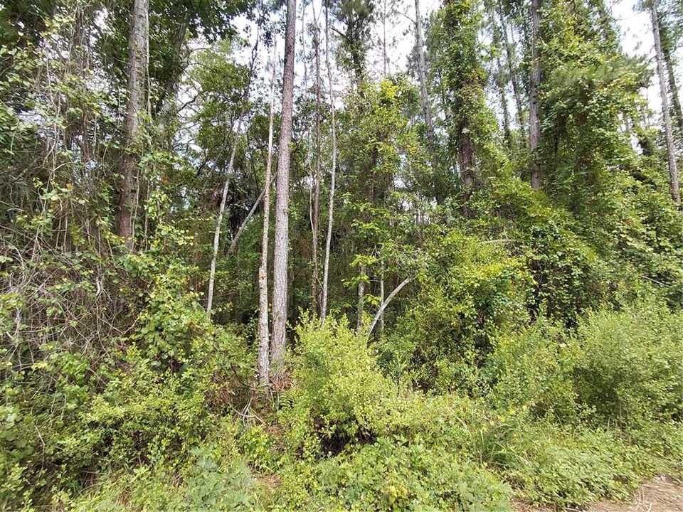 待售: $26,500 (0.24 acres)