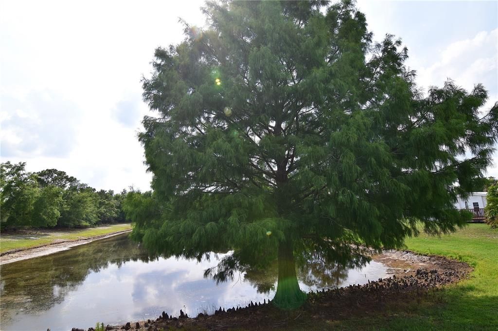 待售: $99,900 (2 贝兹, 2 浴室, 1508 平方英尺)