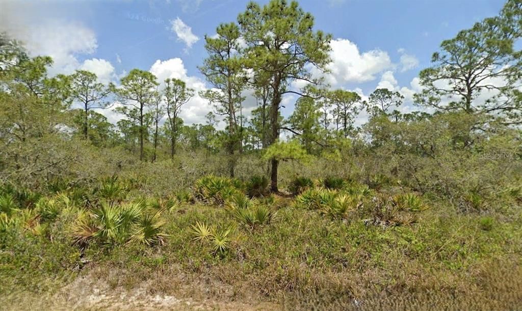 Recently Sold: $35,000 (0.98 acres)