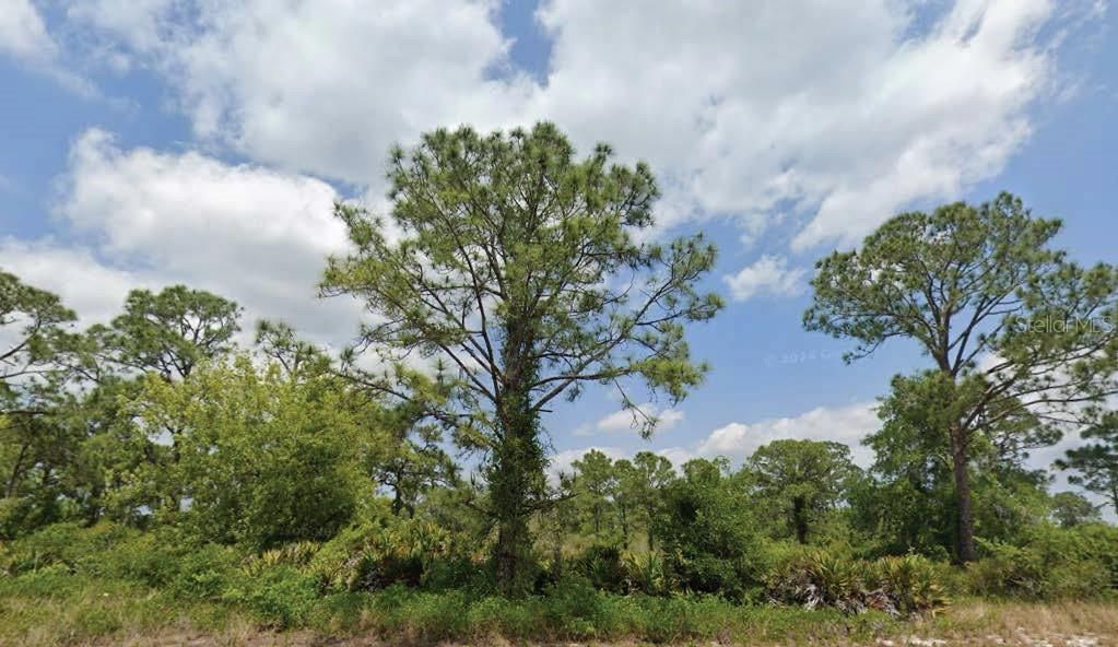 Недавно продано: $10,500 (0.22 acres)
