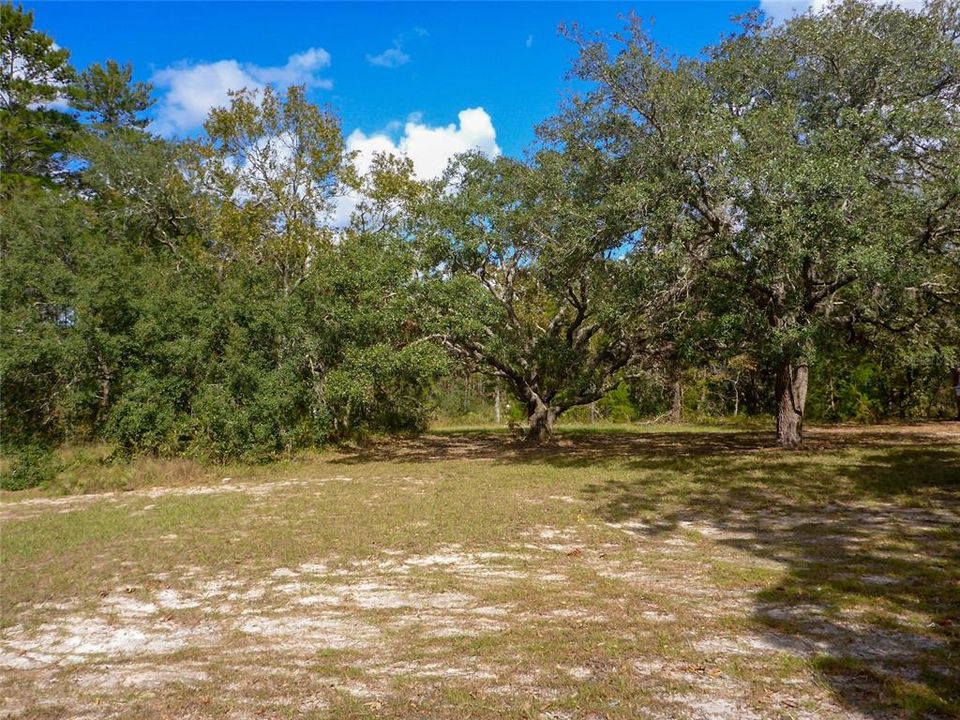 待售: $659,000 (4 贝兹, 3 浴室, 2495 平方英尺)