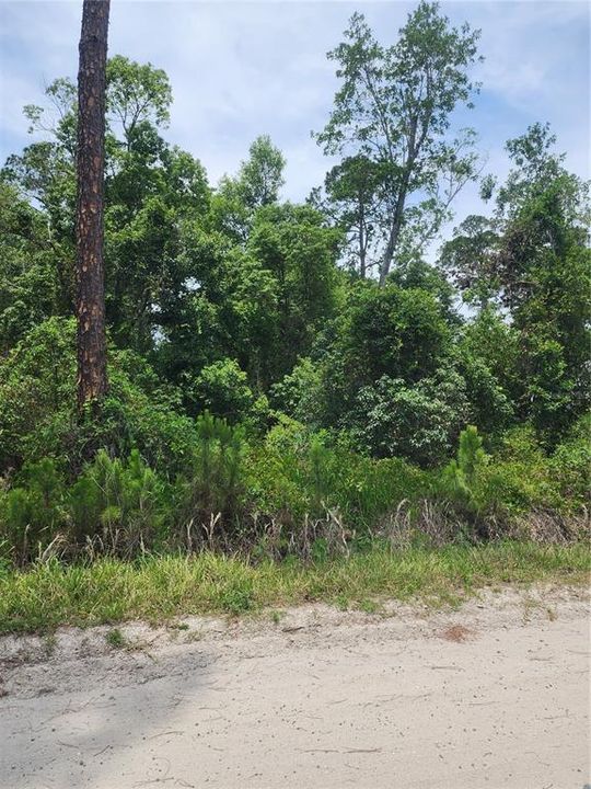 For Sale: $24,500 (0.26 acres)