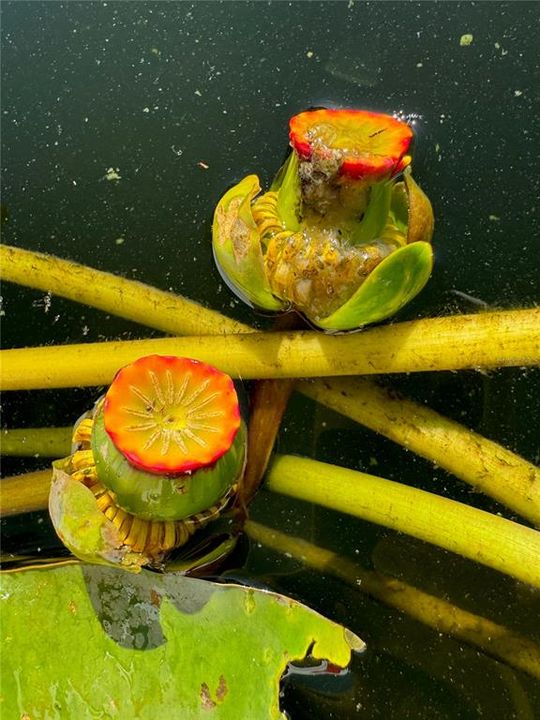 For Sale: $799,000 (3 beds, 2 baths, 1990 Square Feet)